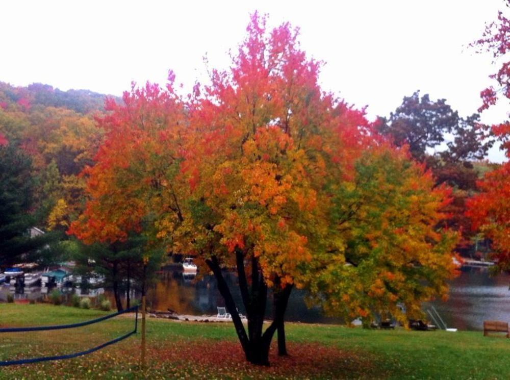 Lake Harmony Inn Dış mekan fotoğraf